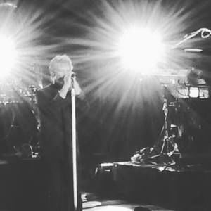 Meet your Posher, Louisa